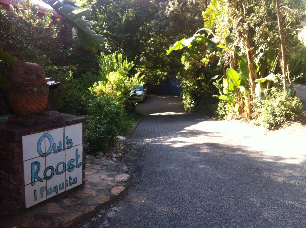 Guinea Fowl Loft Apartment Knysna Exterior photo